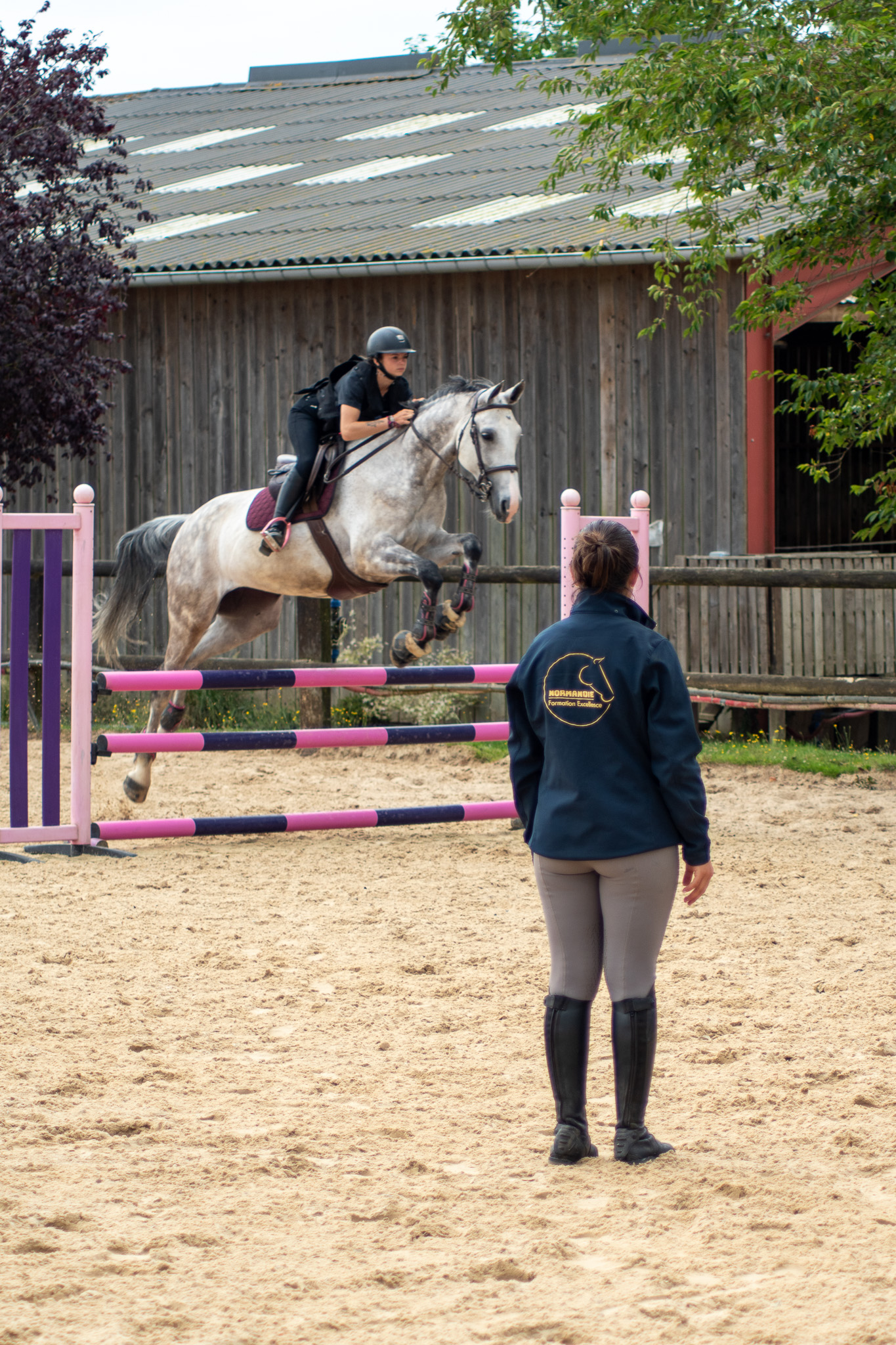 (c)Fruchard C. - COREN - NFE - Centre Equestre de la Scie - eleve BPJEPS en formation