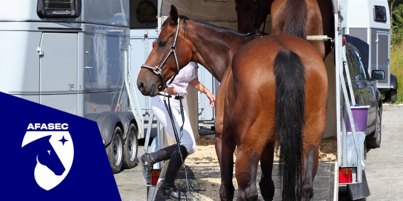 visuel-formation-TAV